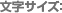 文字サイズ：